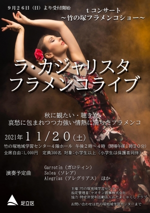 ｔコンサート　竹の塚フラメンコショー